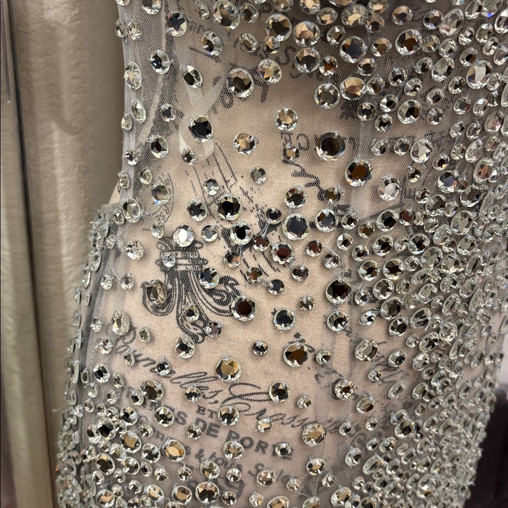 NWT Valiant Paris Elegant Silver Embellished Dress - Picture 5 of 9